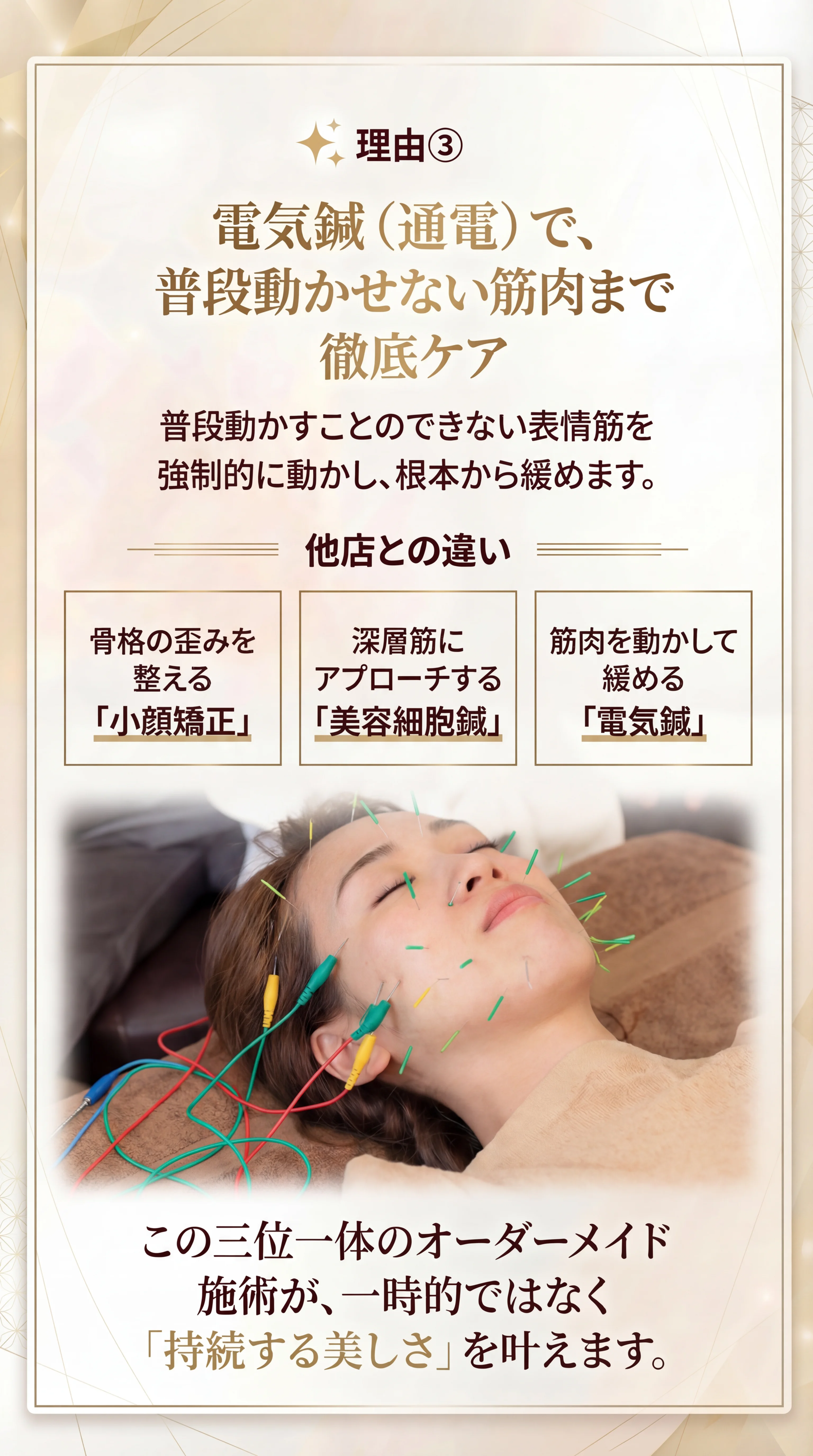 選ばれる理由 3